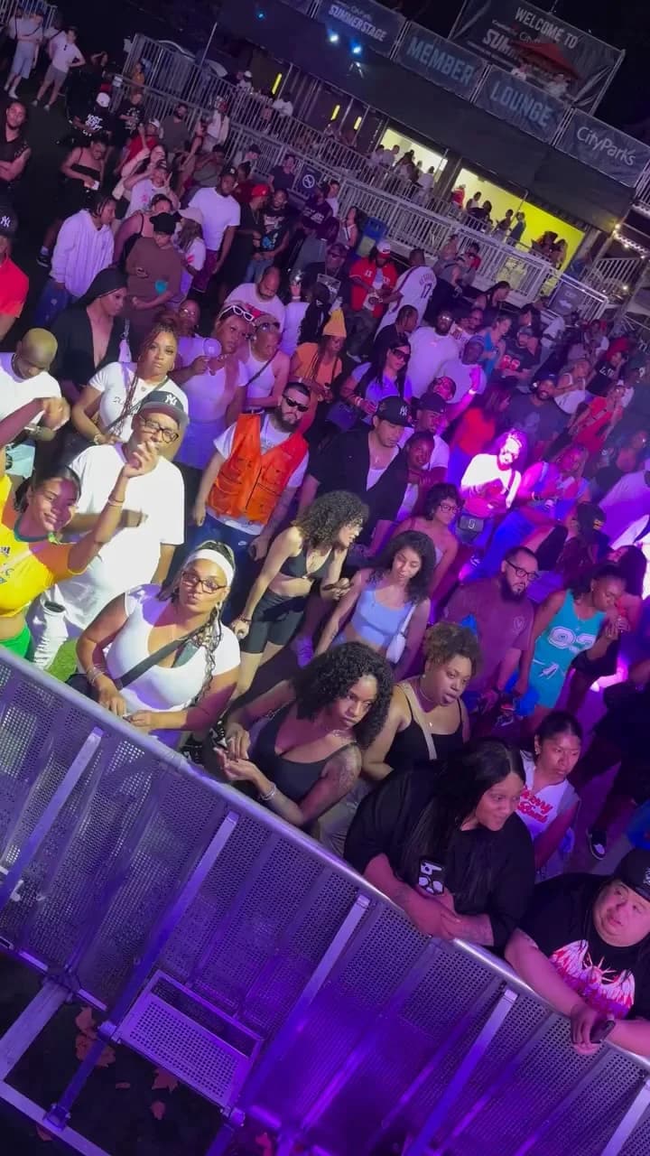 Crowd at the Funk Flex Birthday R&B Picnic at Central Park SummerStage